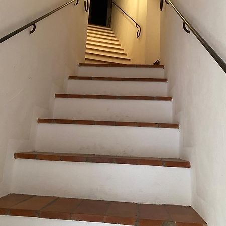 La Ginestra - Terrazza Apartamento Orciatico Exterior foto